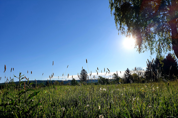 Die Region Loipersdorf ist ein Wandertouren Paradies